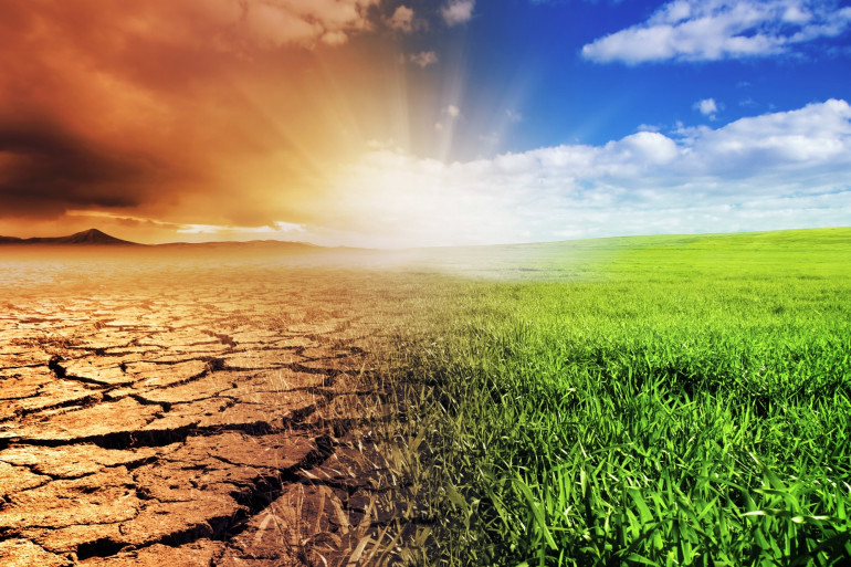 Changement climatique et biodiversité : une menace grandissante pour les écosystèmes mondiaux