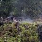 CONGO : Conflit Nord Kivu